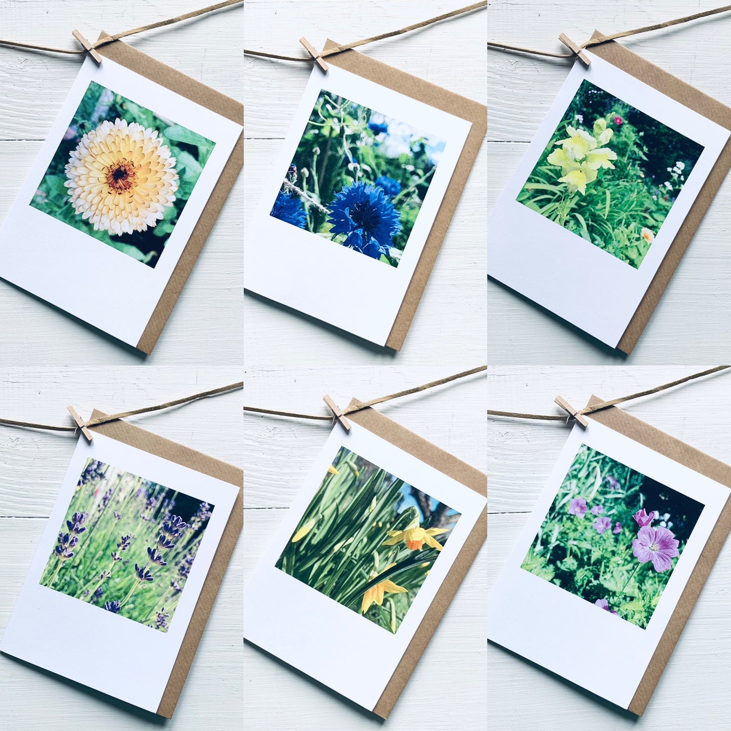 Garden Colour Polaroid - 6 pack of Cards