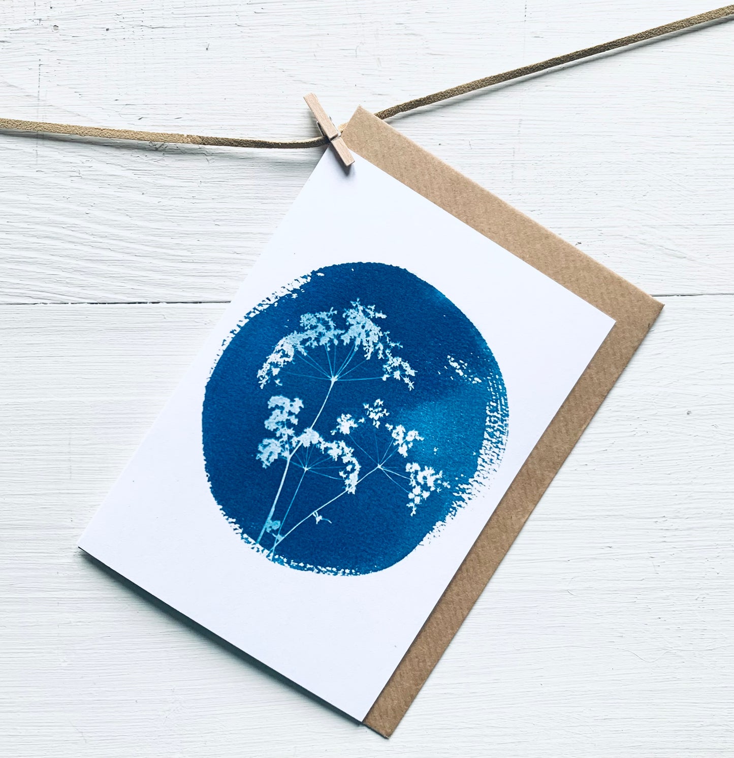 Cow Parsley Trio Cyanotype greeting card