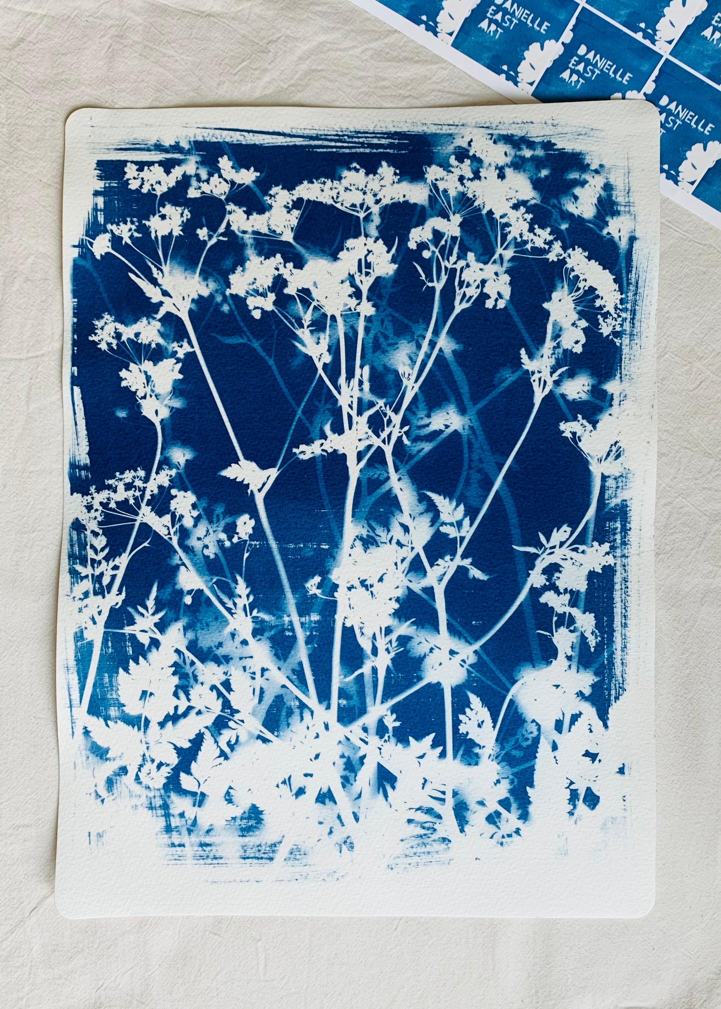 Cow Parsley View 38x28cm - Original Print