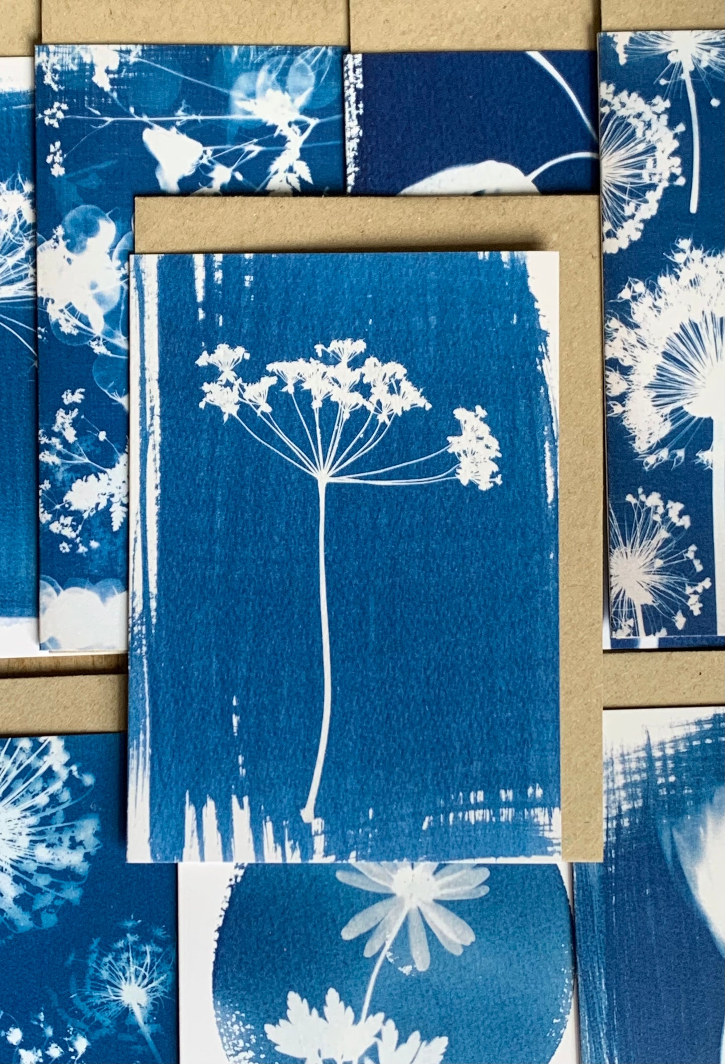 Cow Parsley Stem - Cyanotype - Blank Card