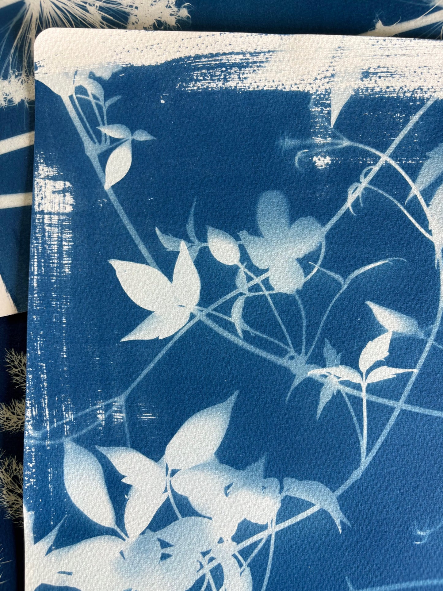 Clematis 38x28cm Original Cyanotype Print