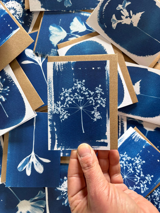 Cow Parsley Stem - Cyanotype - A7 Blank Card