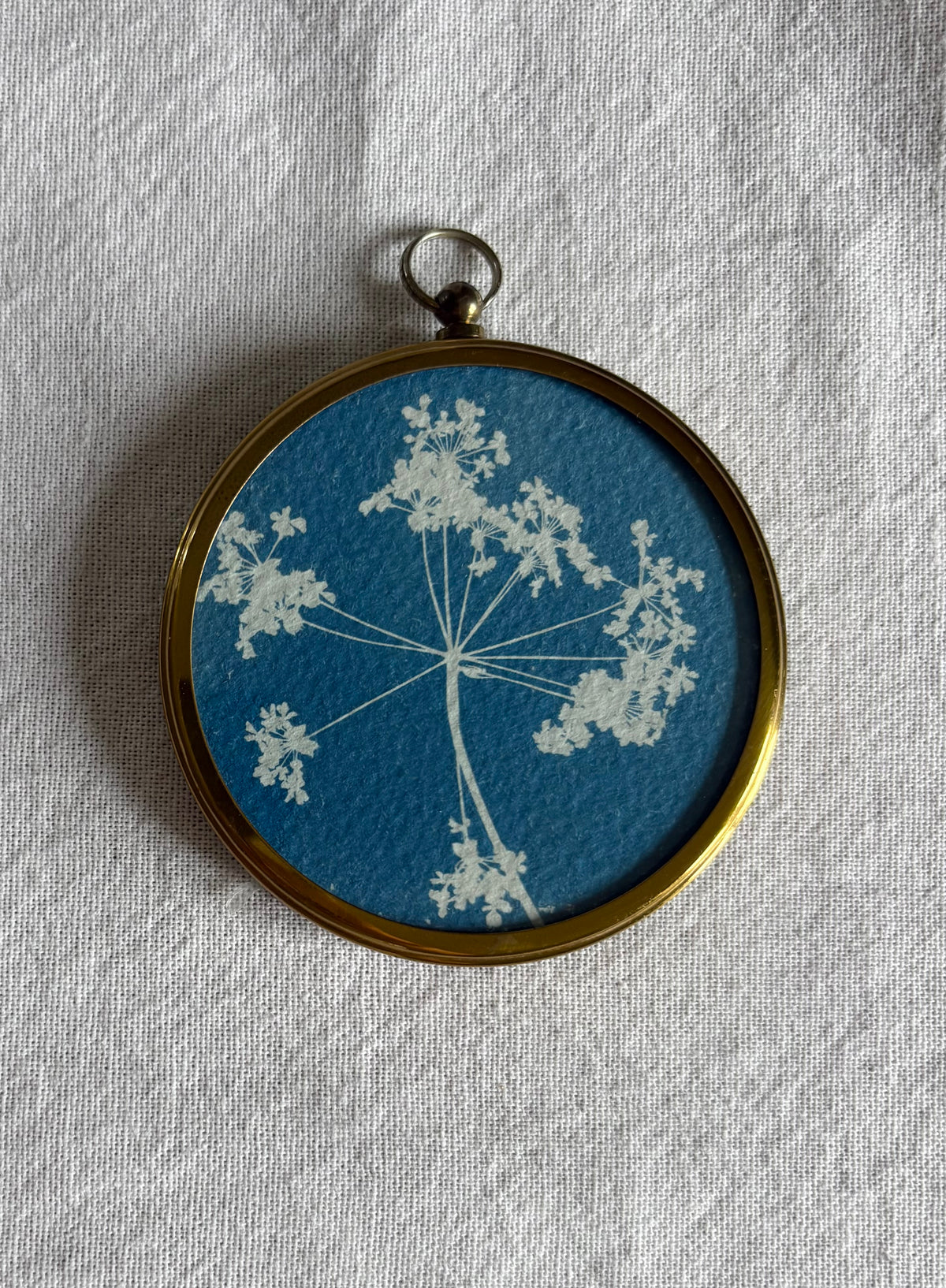 Cow Parsley- Brass Framed Circle Cyanotype - 7.5cm Diameter