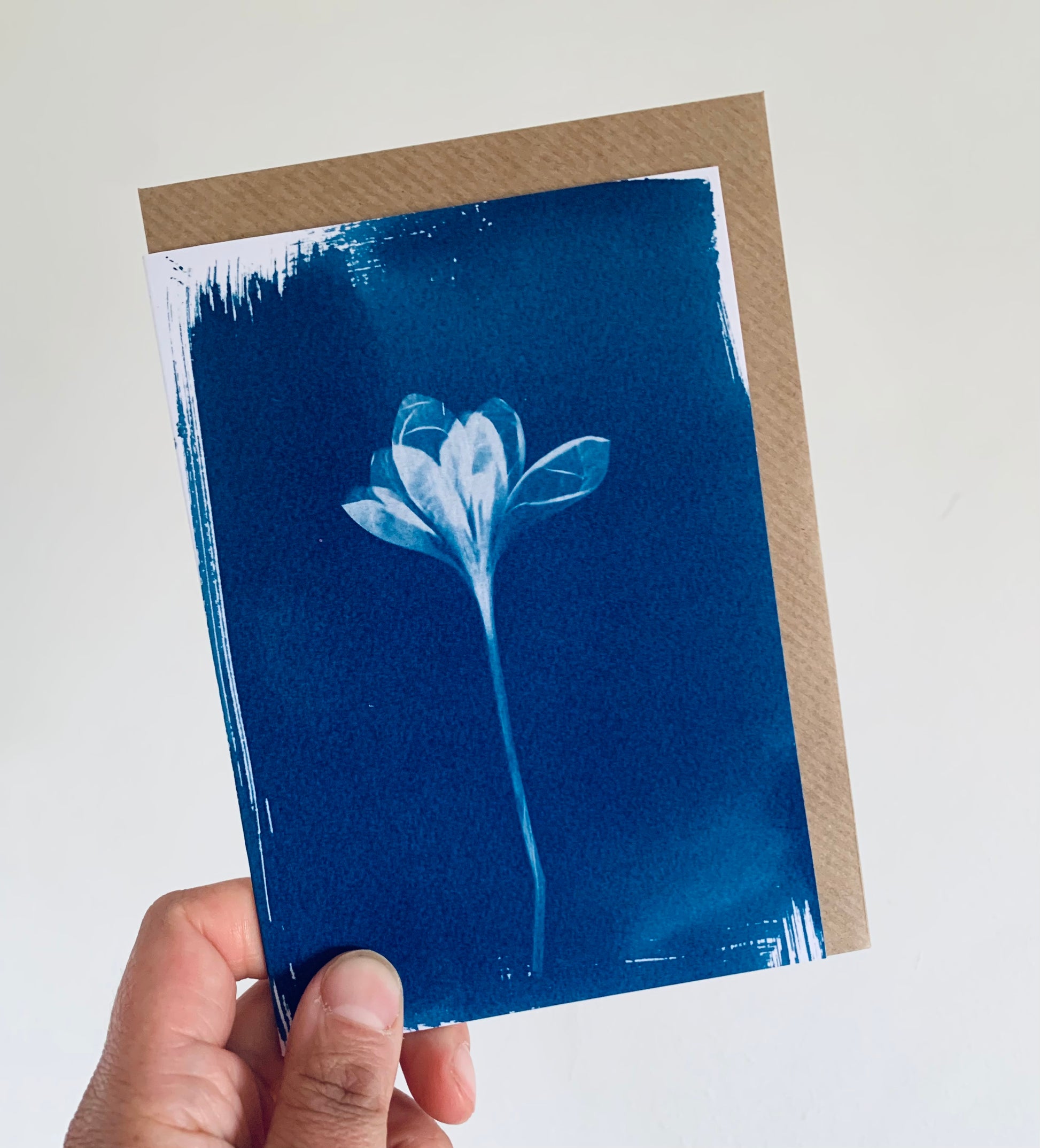 Crocus Cyanotype Greetings card form Danielle East ART