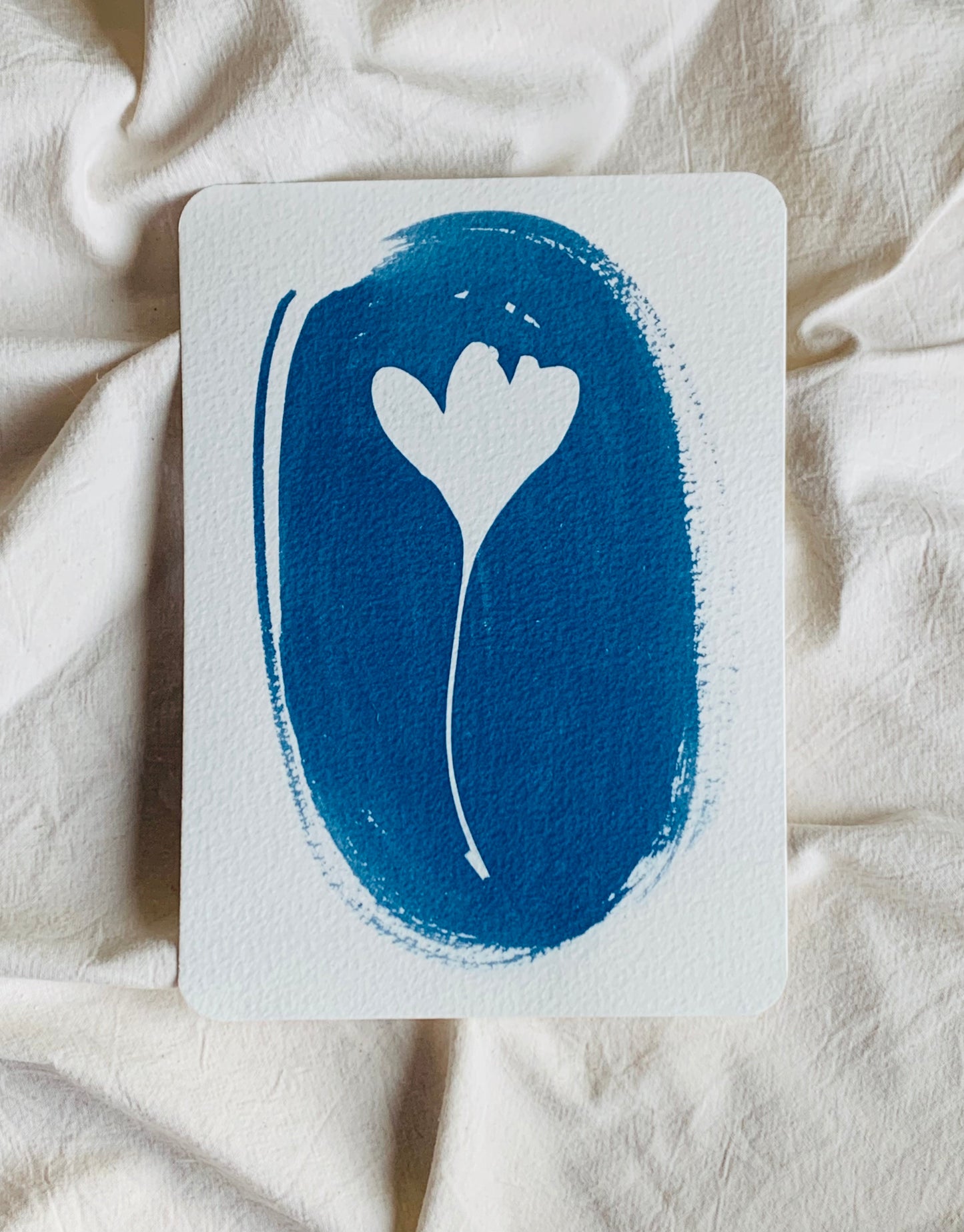 Blue and white Cyanotype print of a crocus flower in an oval shape