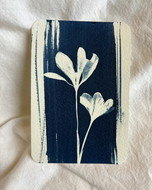 Crocus pair 14 x 9.5cm - Original Print