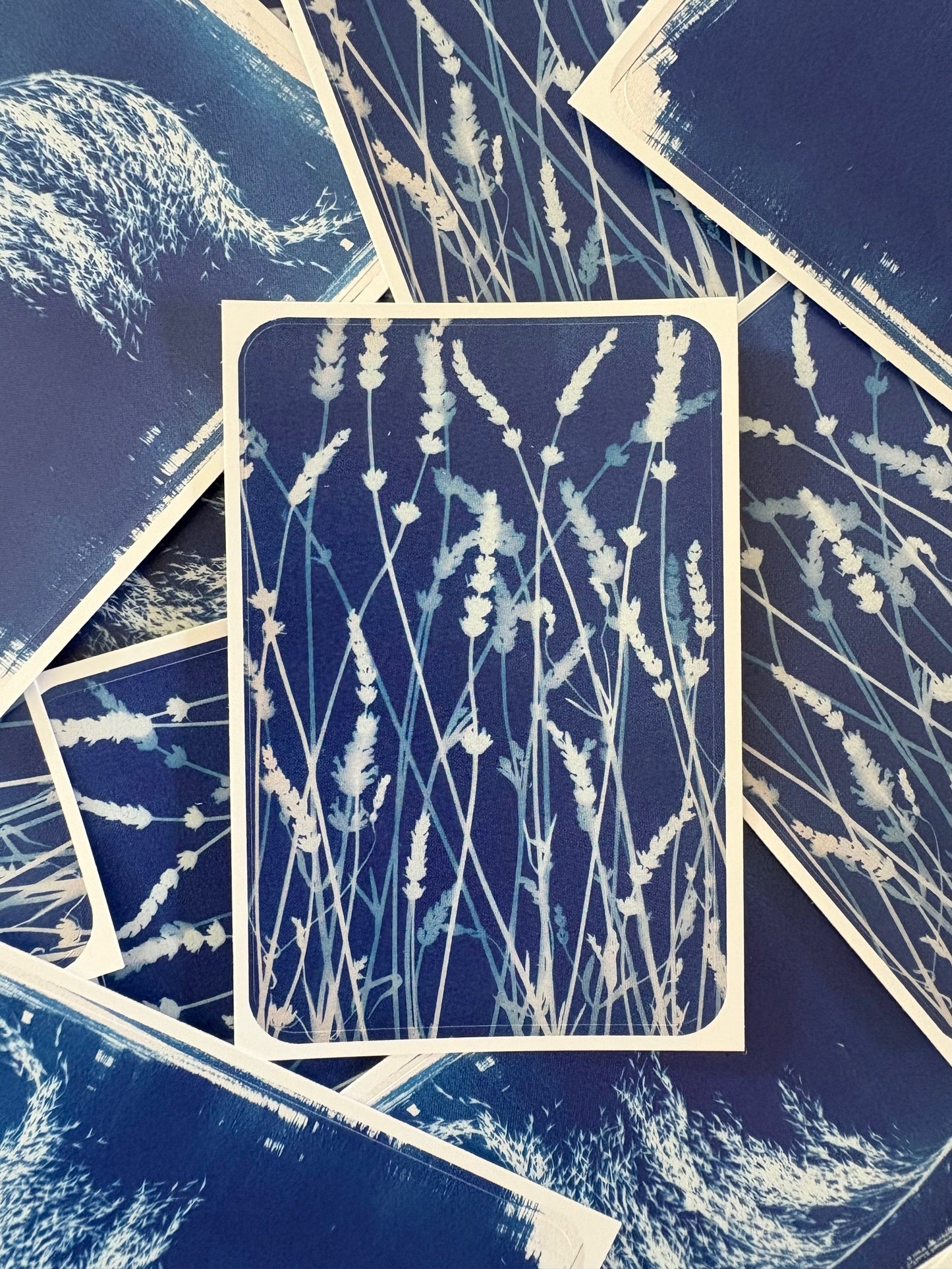 Lavender - Rectangle Sticker