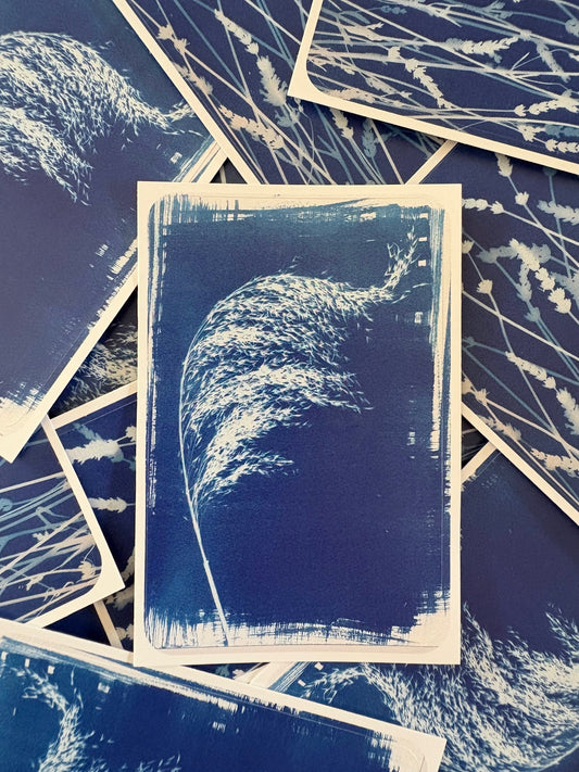 Reed - Rectangle Sticker