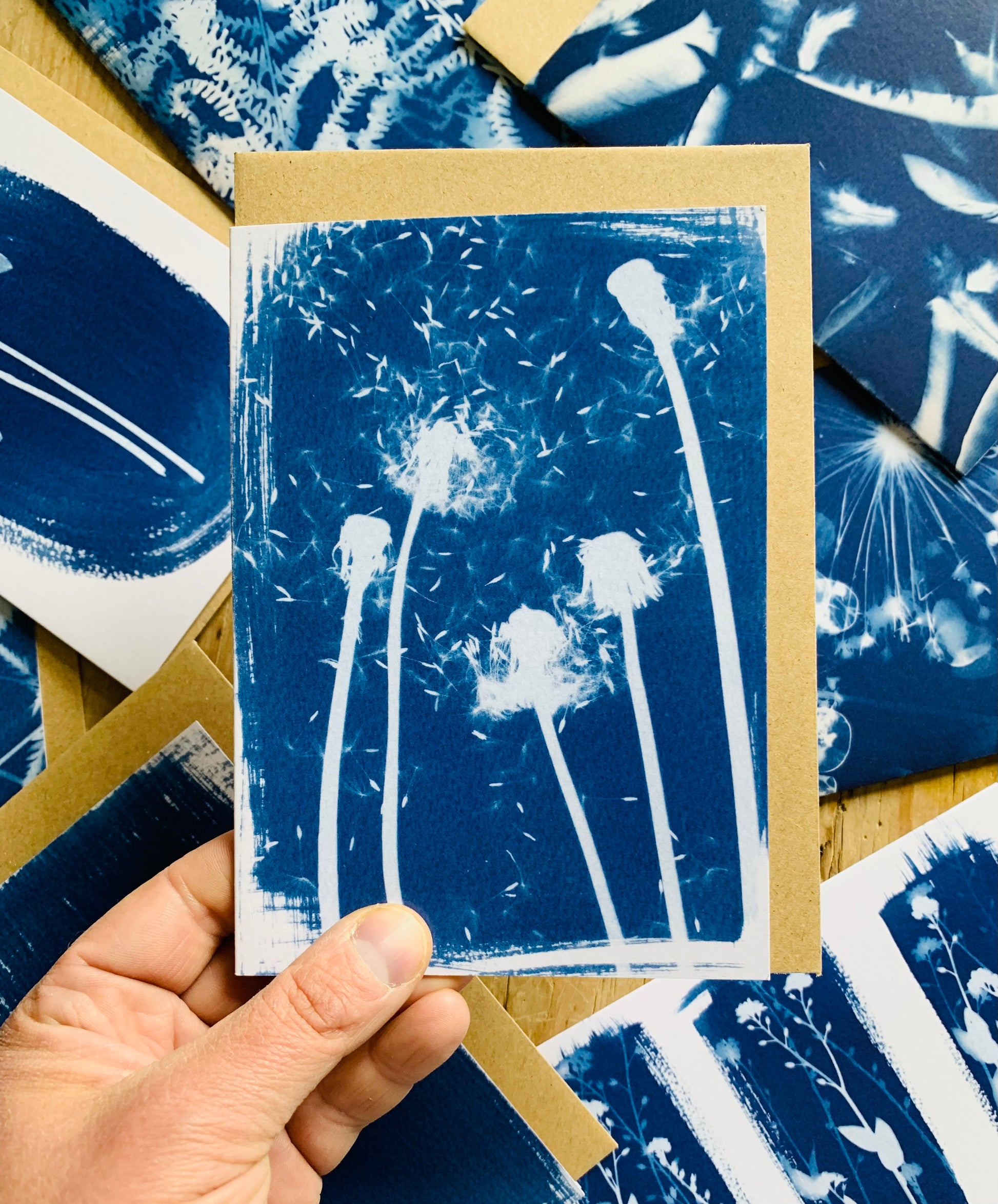 Dandelion Family Cyanotype card of a group of Dandelions from Danielle East ART