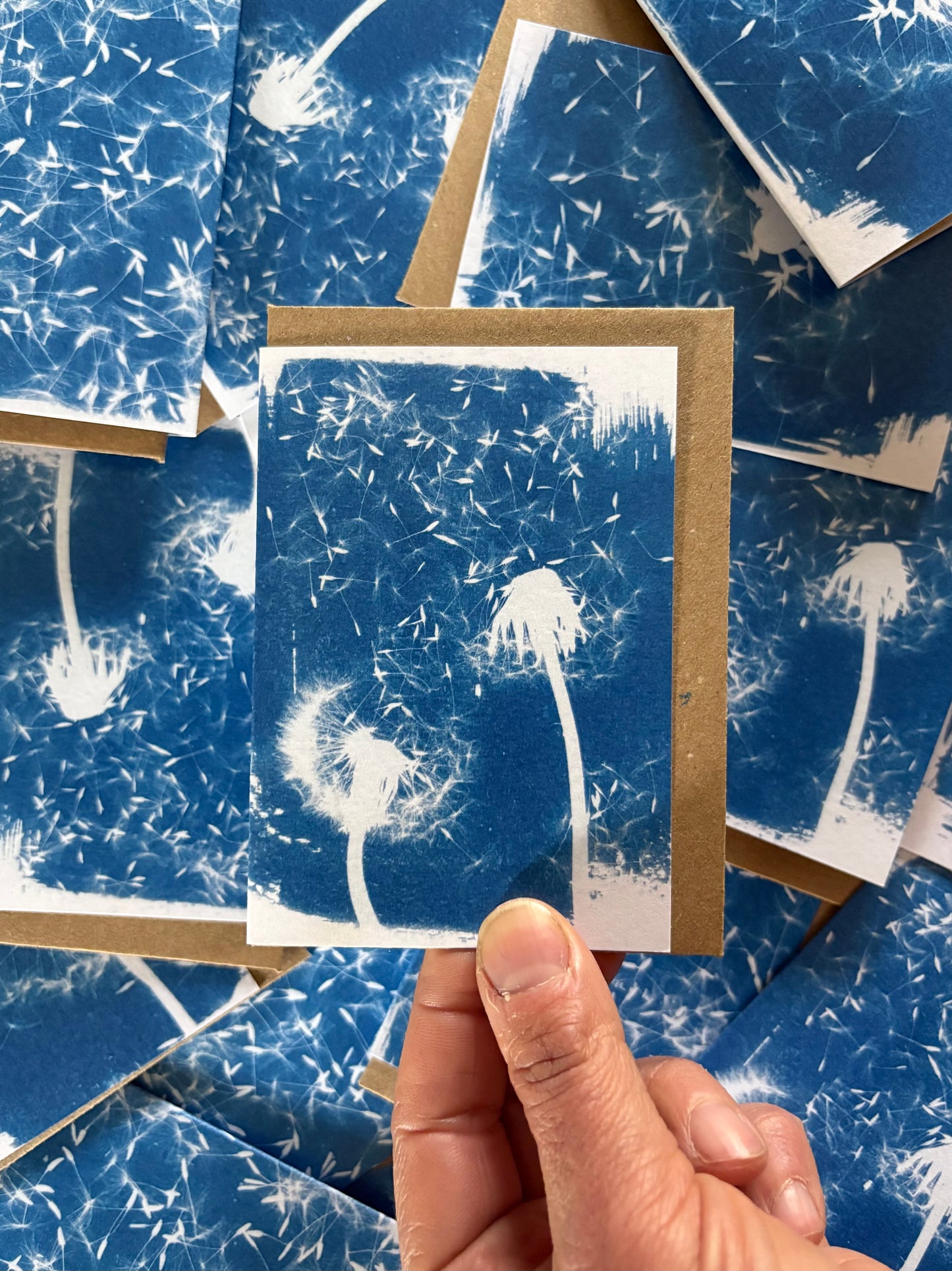 Dandelion Pair - Cyanotype - A7 Blank Card
