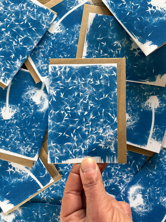 Dandelion seeds - Cyanotype - A7 Blank Card
