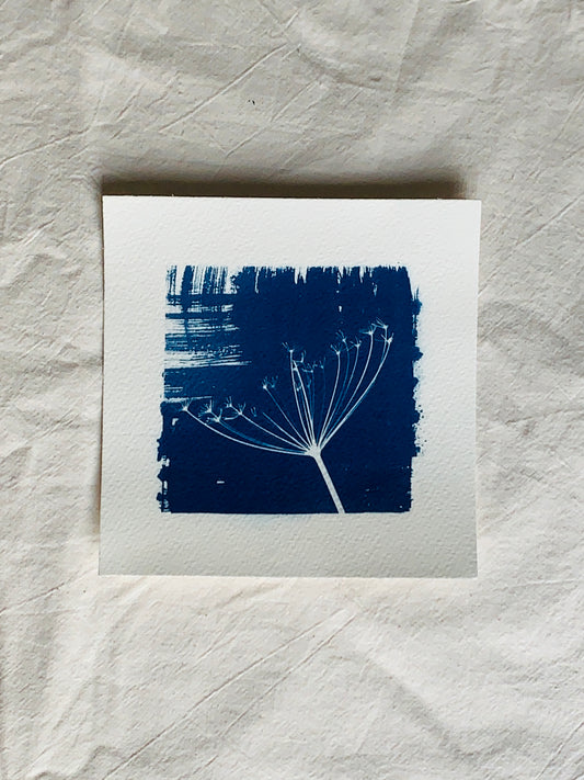 Dried Parsley Square NNU 15x15cm - Original Print