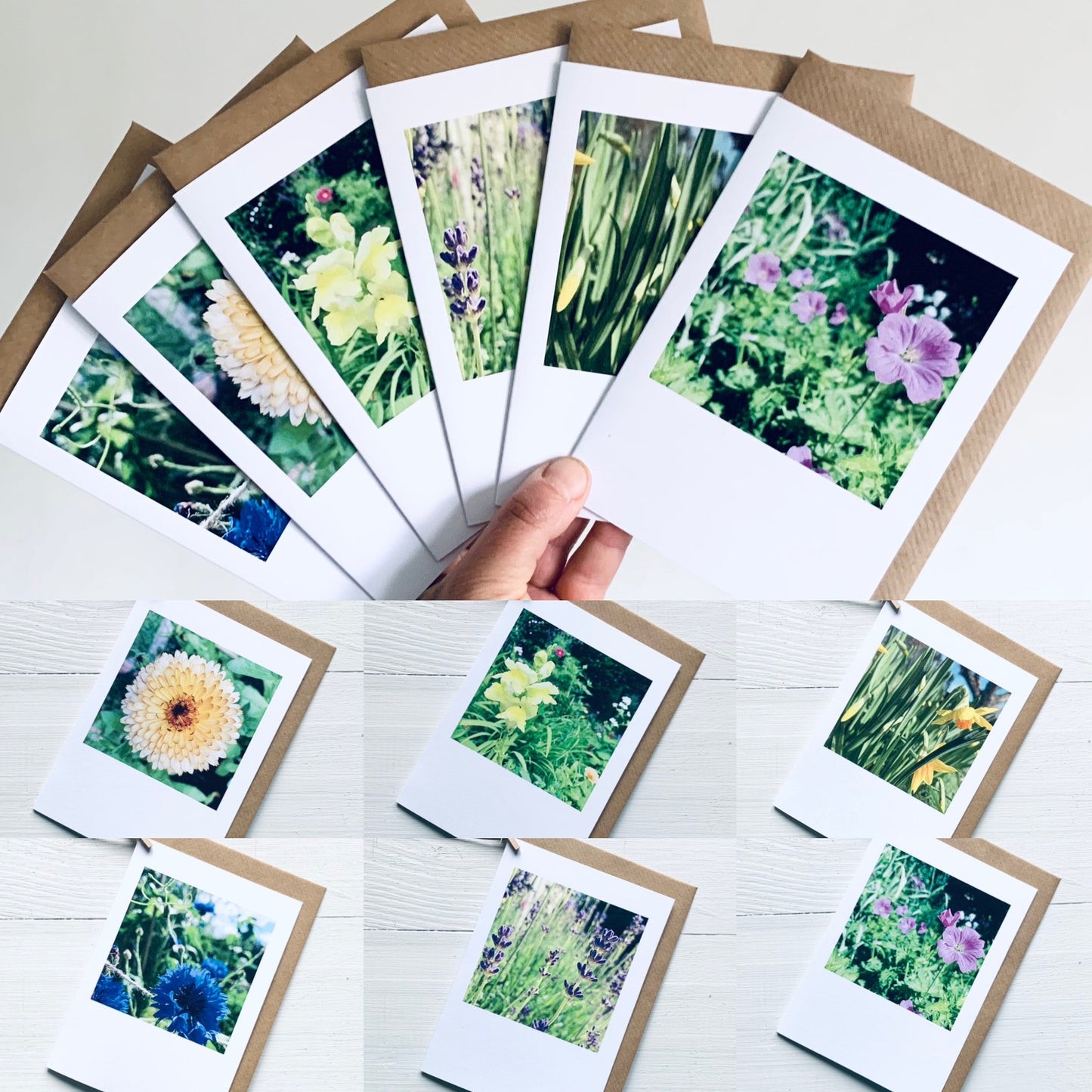 Garden Colour Polaroid - 6 pack of Cards