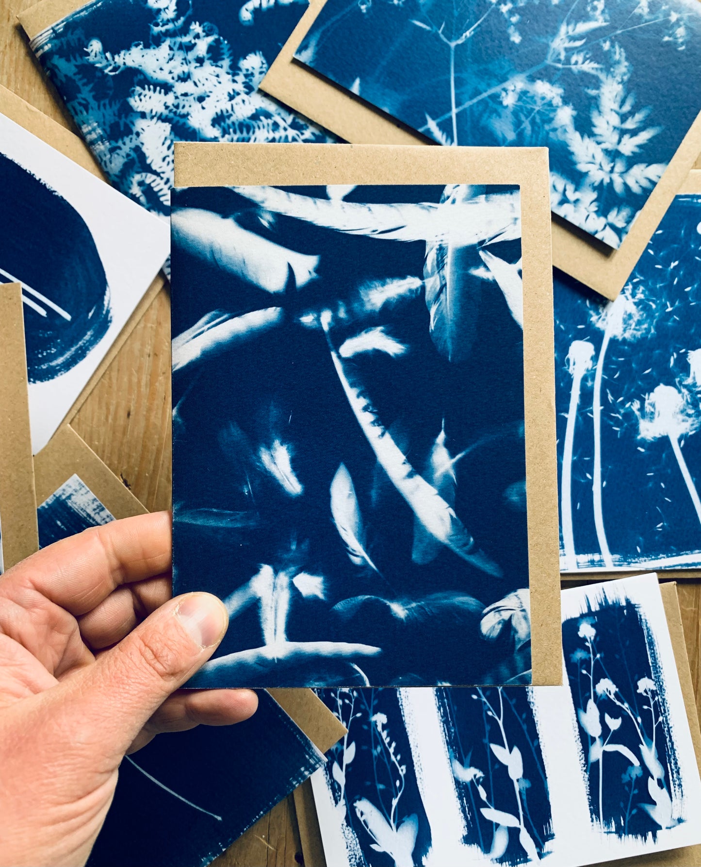 Feather Cyanotype Blank Greetings card from Danielle East ART