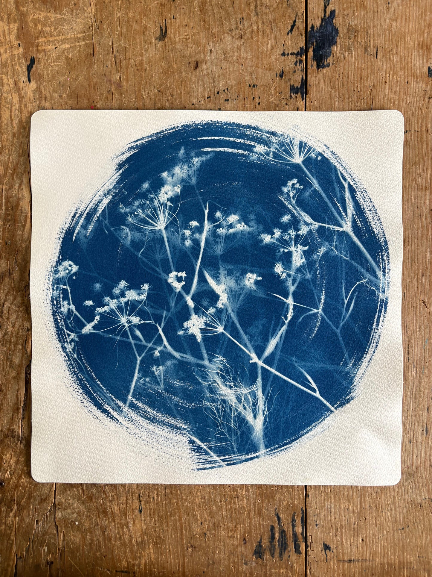 Fennel Round 38x38cm