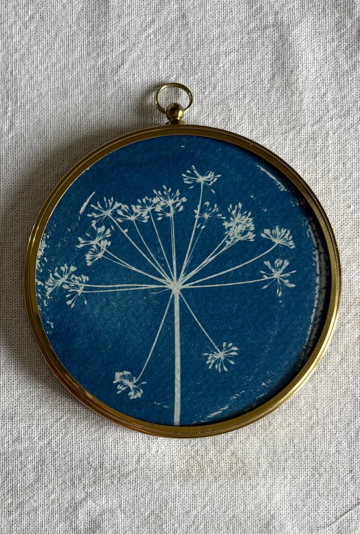 Fennel - Brass Framed Circle Cyanotype - 10cm Diameter (Copy)