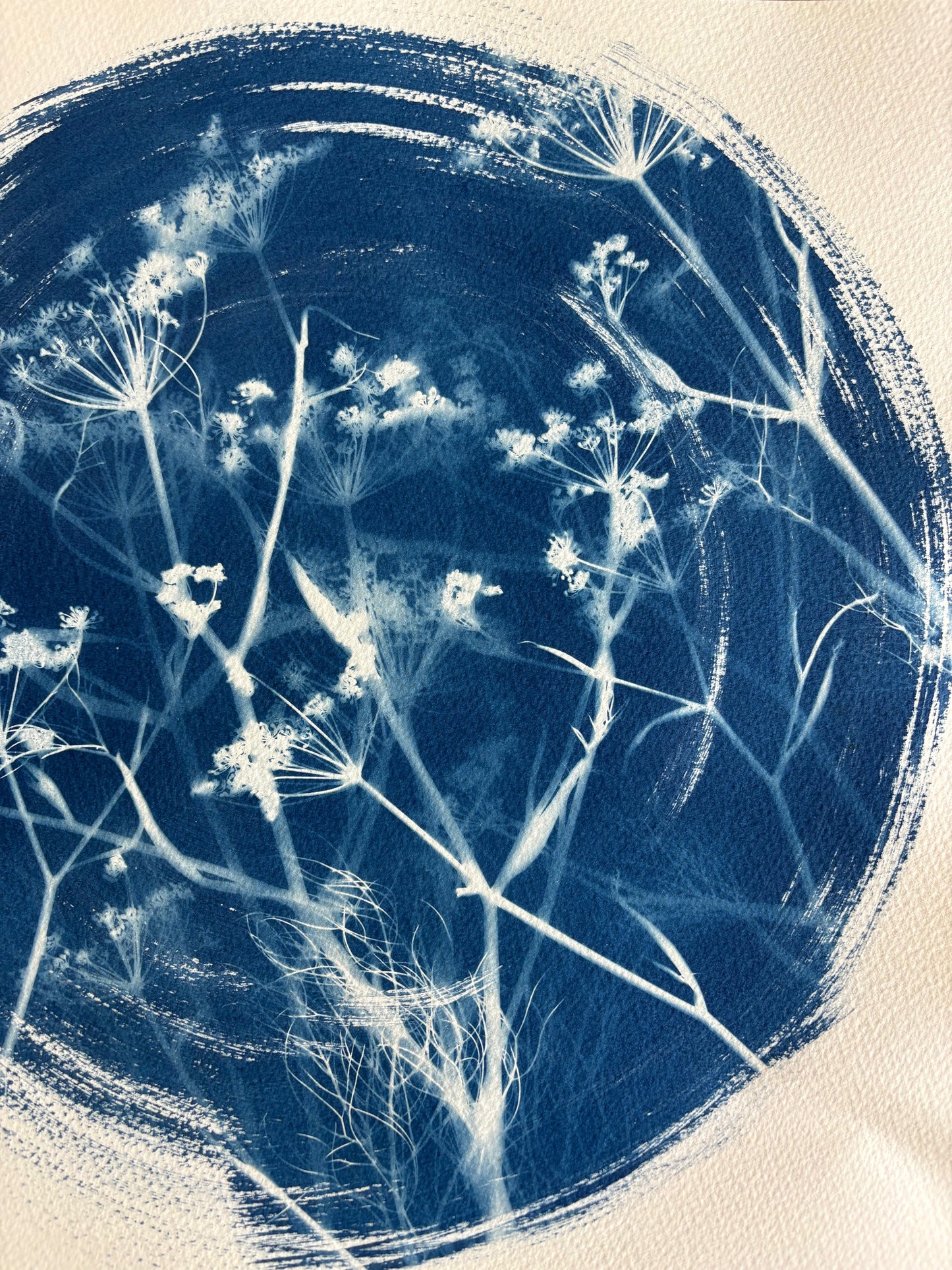 Fennel Round 38x38cm