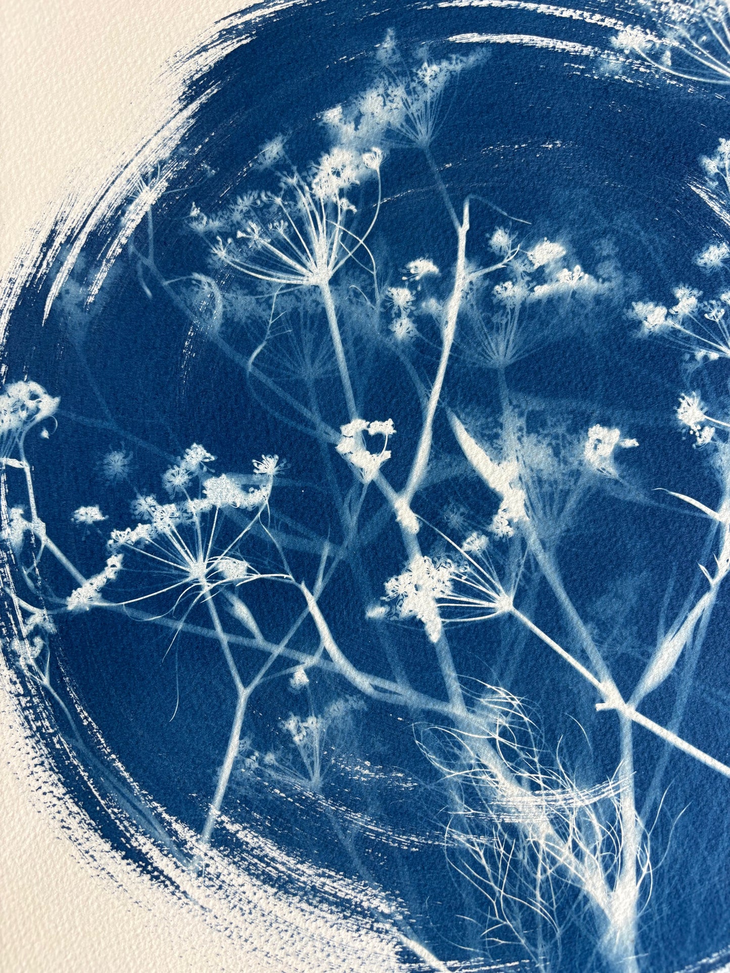 Fennel Round 38x38cm