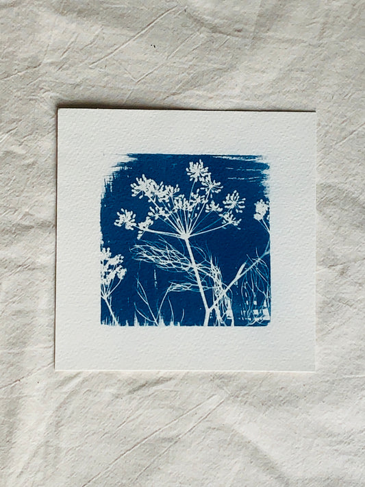 Fennel Square NNU 15x15cm - Original Print