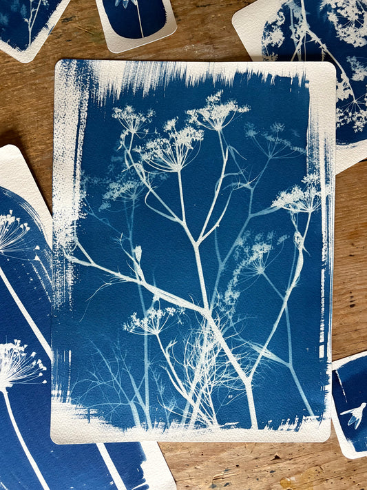Fennel Stem 28x38cm Original Cyanotype Print