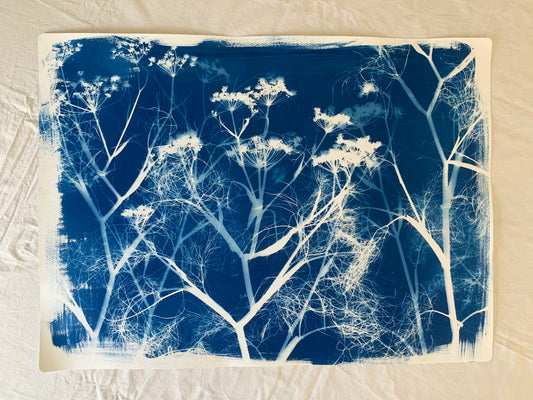 Fennel Layers (22x30") Original Print