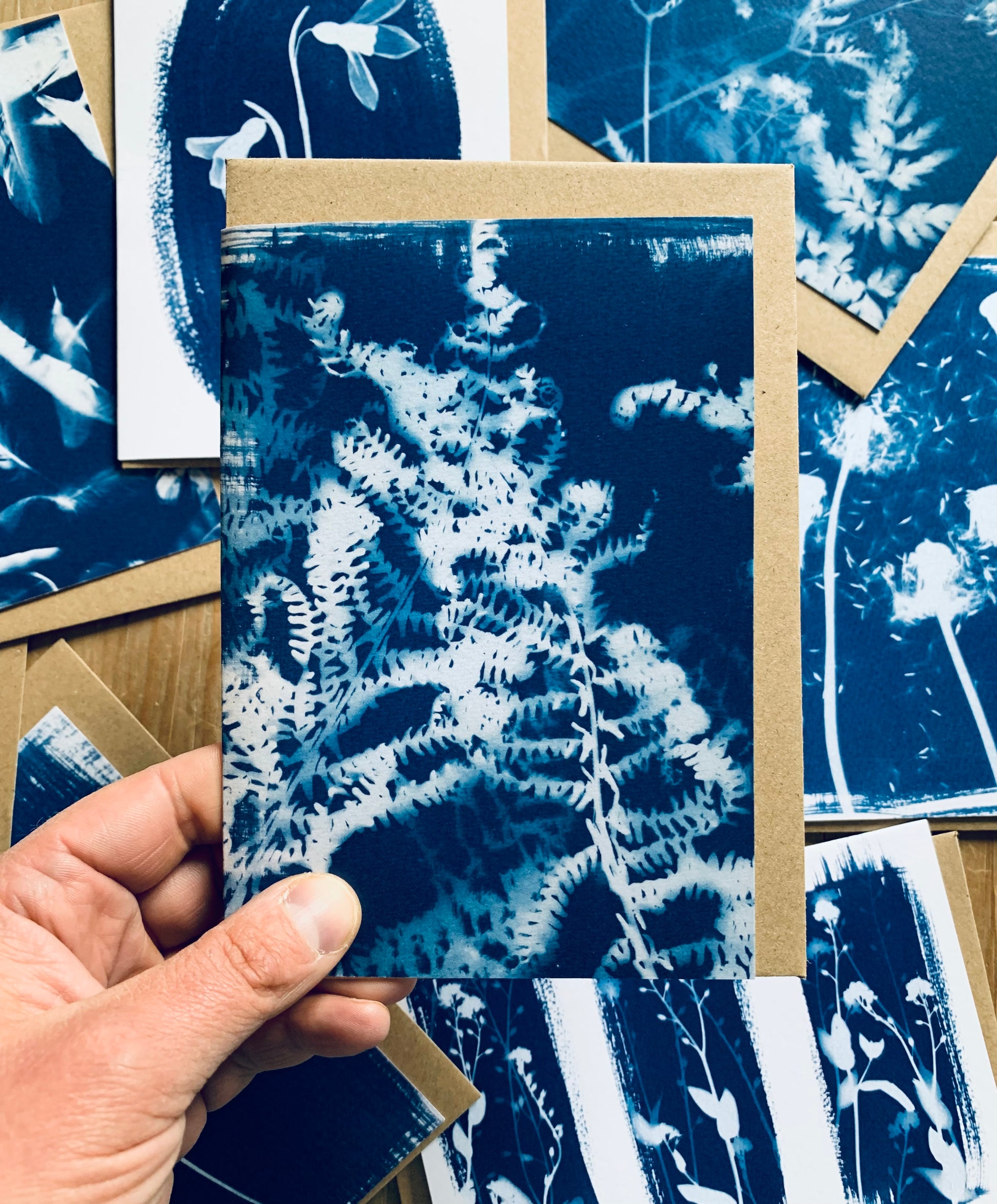 Ferns Cyanotype Blank Greetings card from Danielle East ART