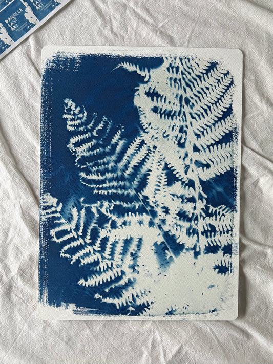 Fern Layers 38x28cm Original Cyanotype Print