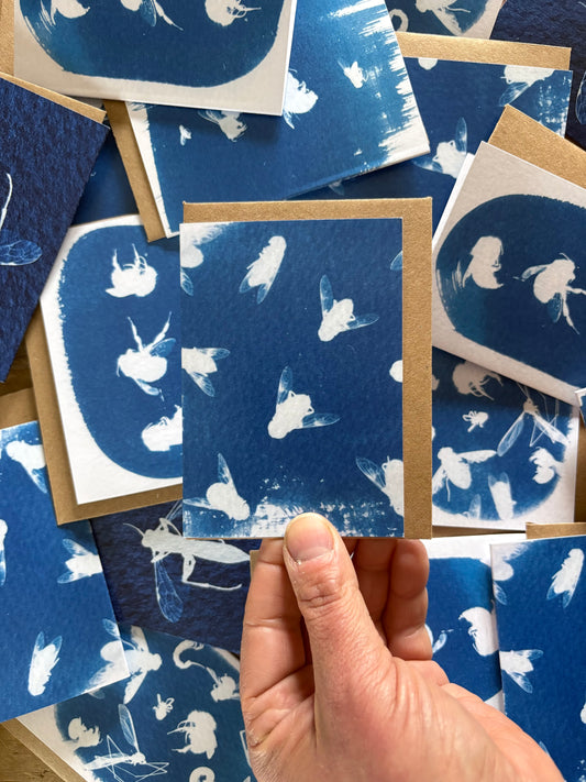 Flies - Cyanotype - A7 Blank Card