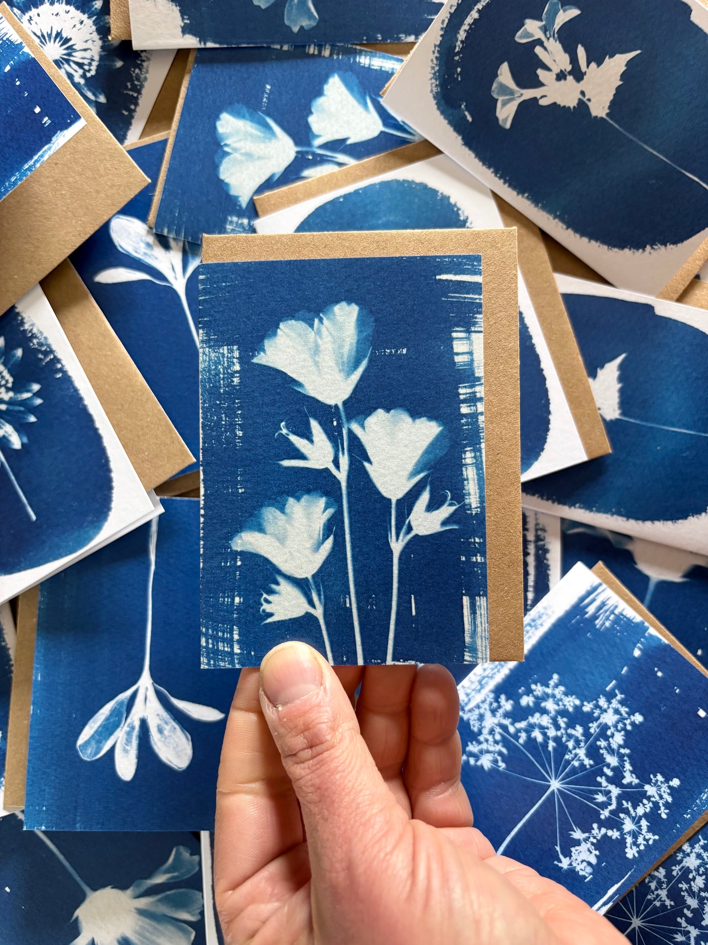 Geranium 3 - Cyanotype - A7 Blank Card