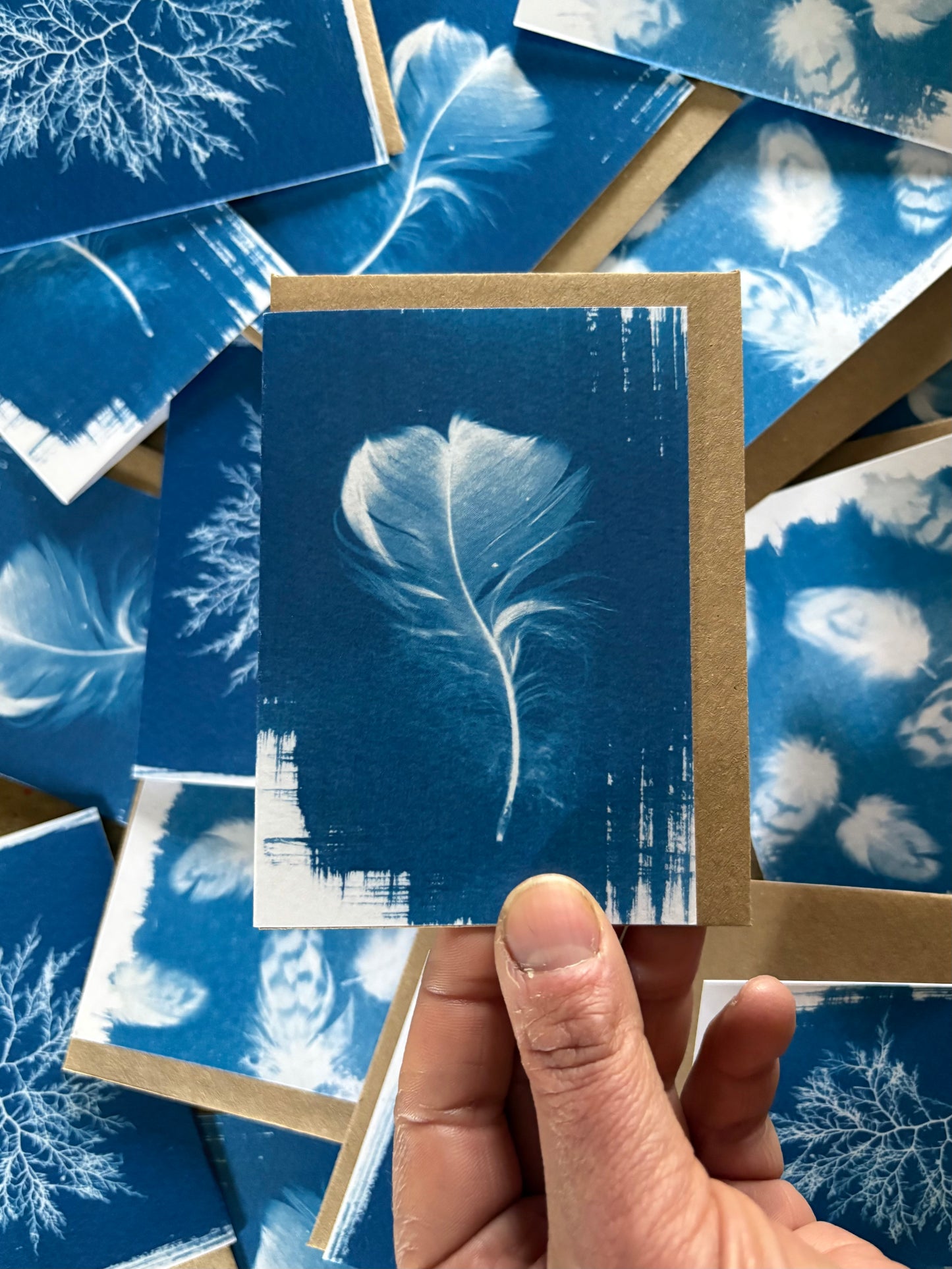 Goose Feather - Cyanotype - A7 Blank Card