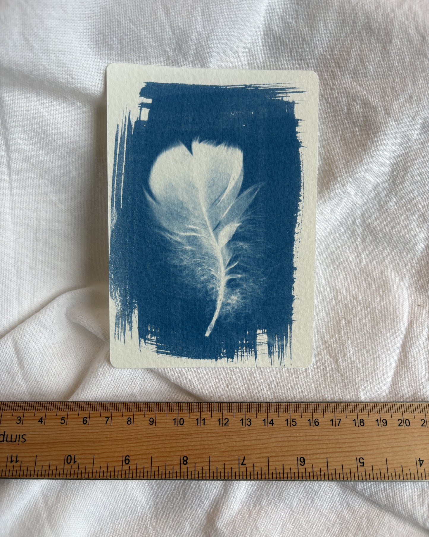 Goose Feather 14 x 9.5cm - Original Print