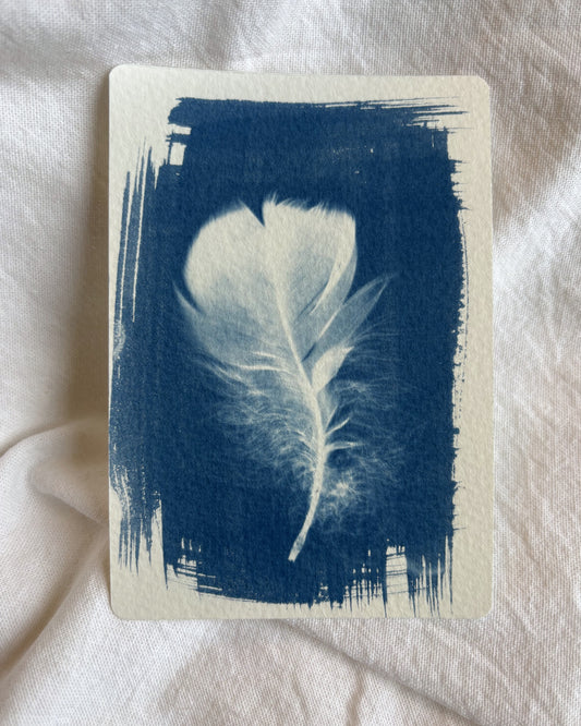 Goose Feather 14 x 9.5cm - Original Print