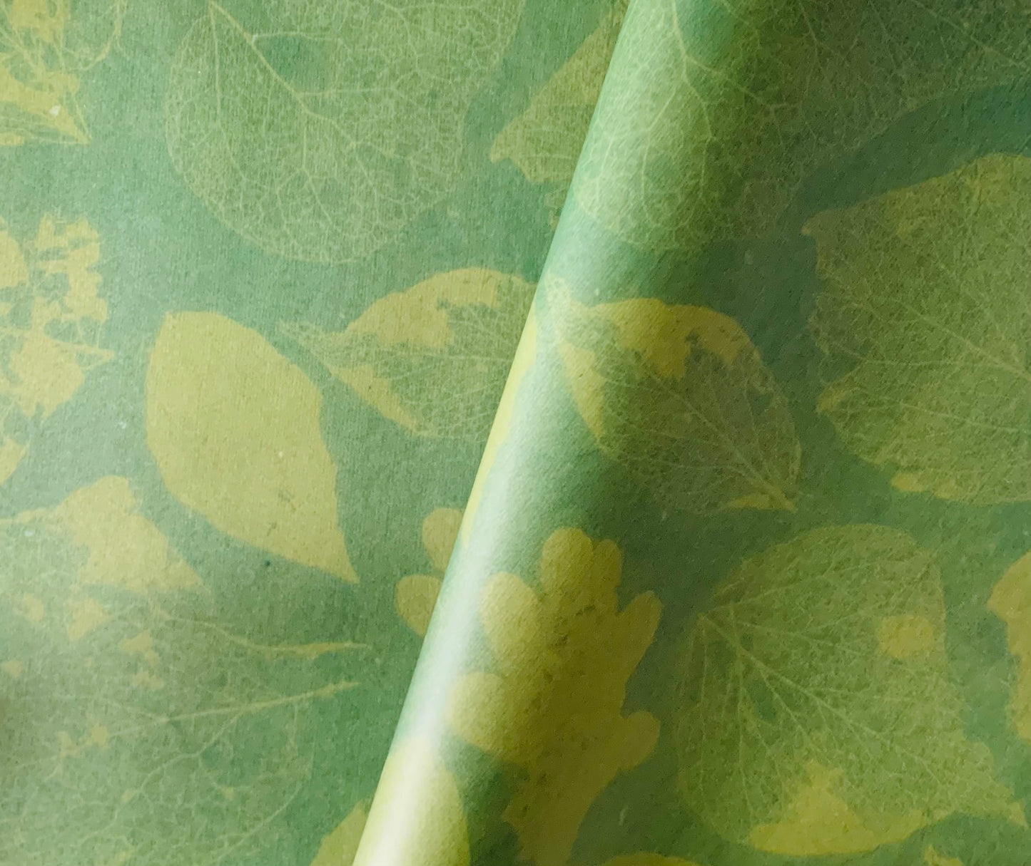 Green Leaves - Cyanotype - Gift Wrap