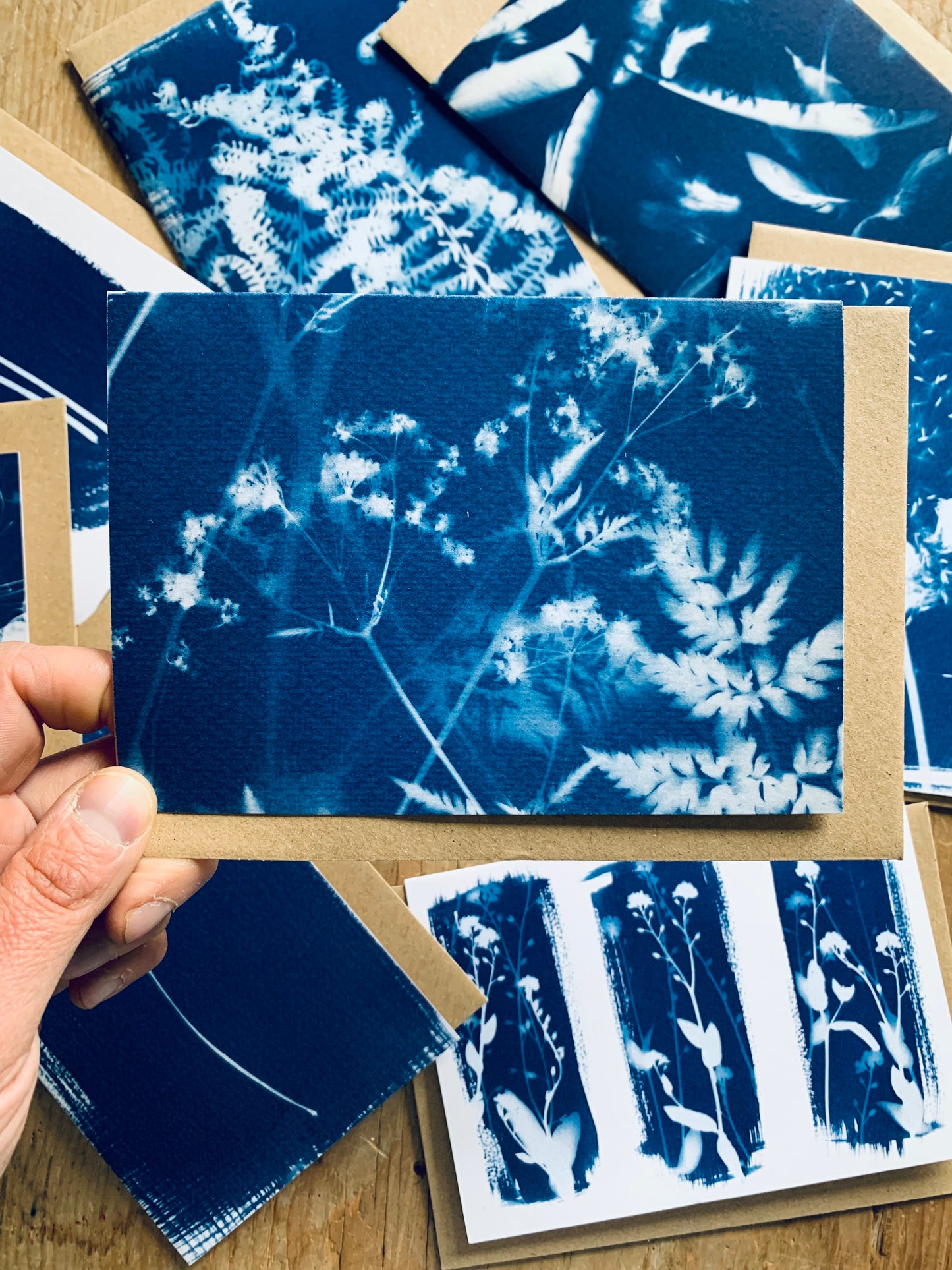 Haze Cyanotype Blank Greetings card, featuring Cow Parlsey from Danielle East ART