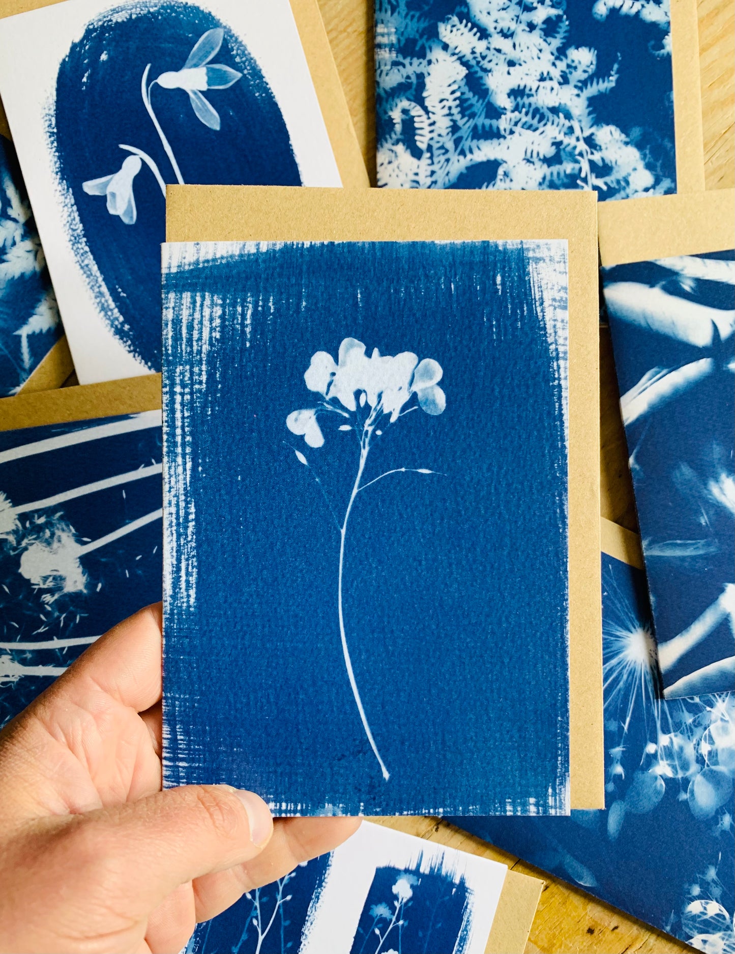 Honesty Stem blue and white Cyanotype Blank Greetings card from Danielle East ART