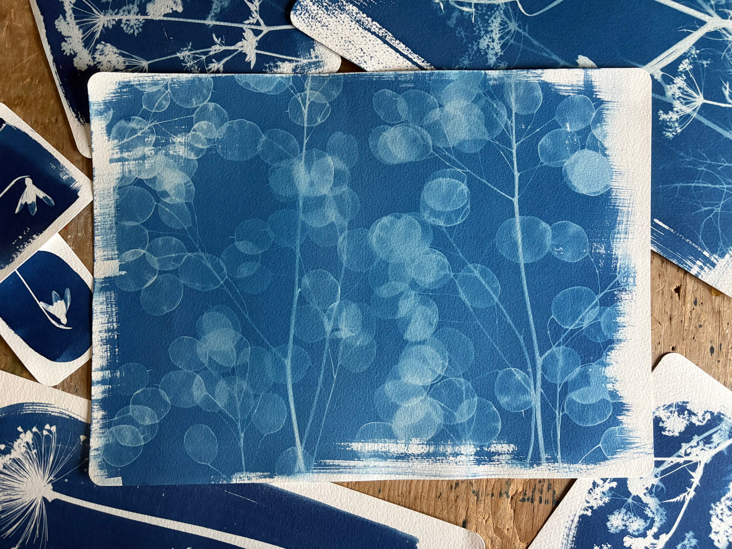 Honesty (landscape) 28x38cm Original Cyanotype Print
