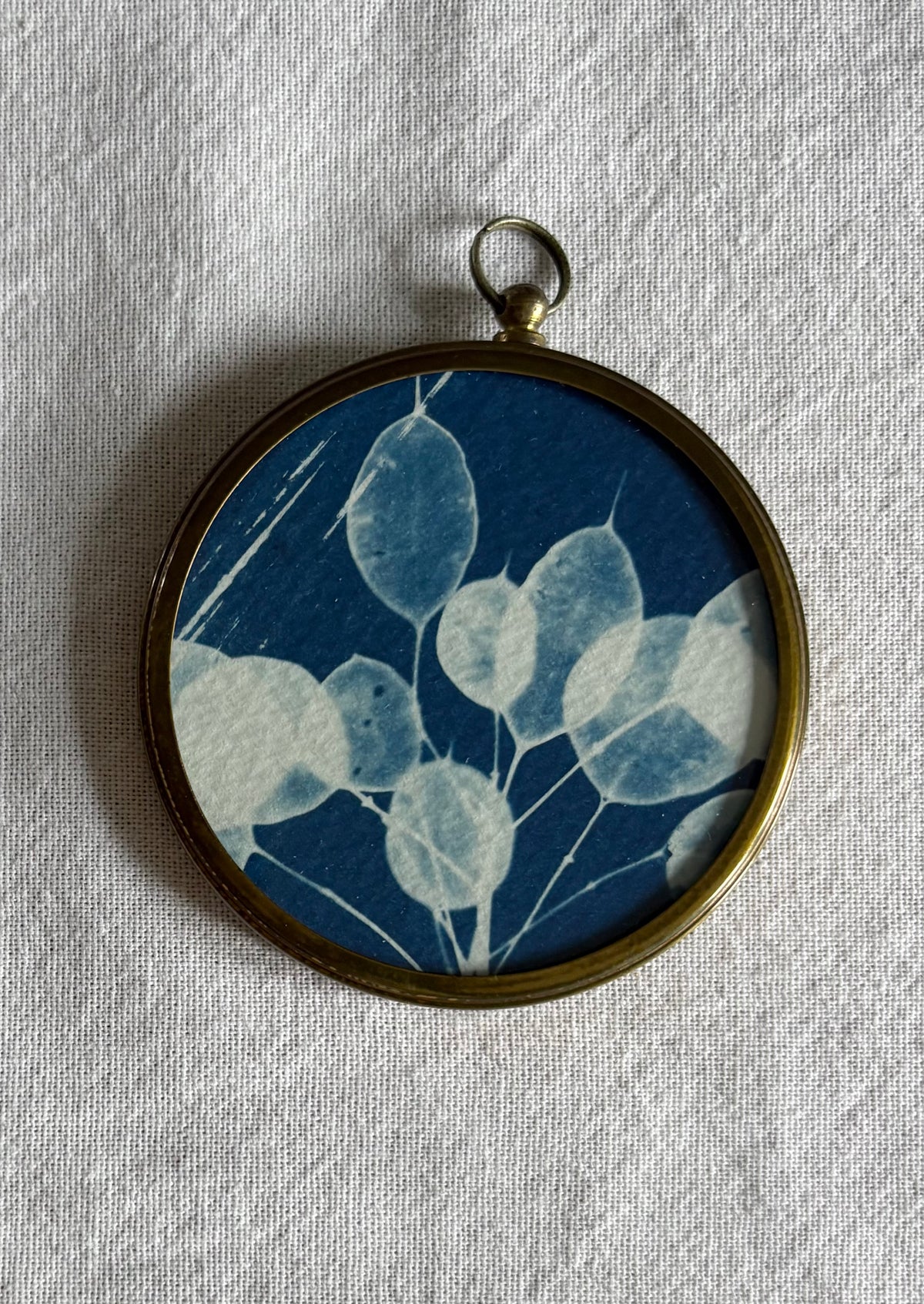 Honesty - Brass Framed Circle Cyanotype - 7.5cm Diameter