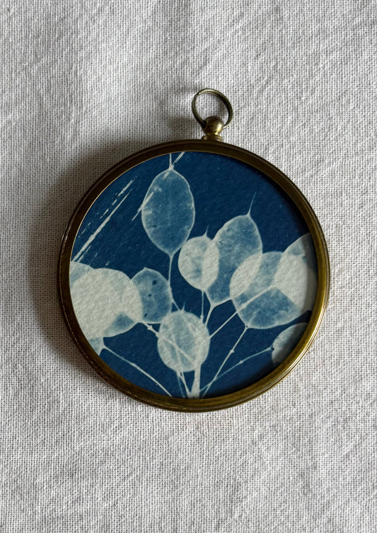 Honesty - Brass Framed Circle Cyanotype - 7.5cm Diameter