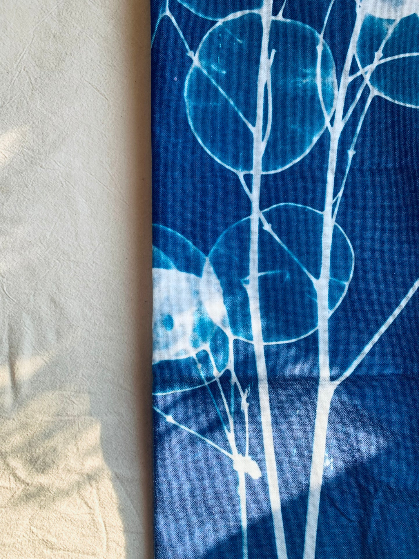 Honesty - Cyanotype - Tea Towel