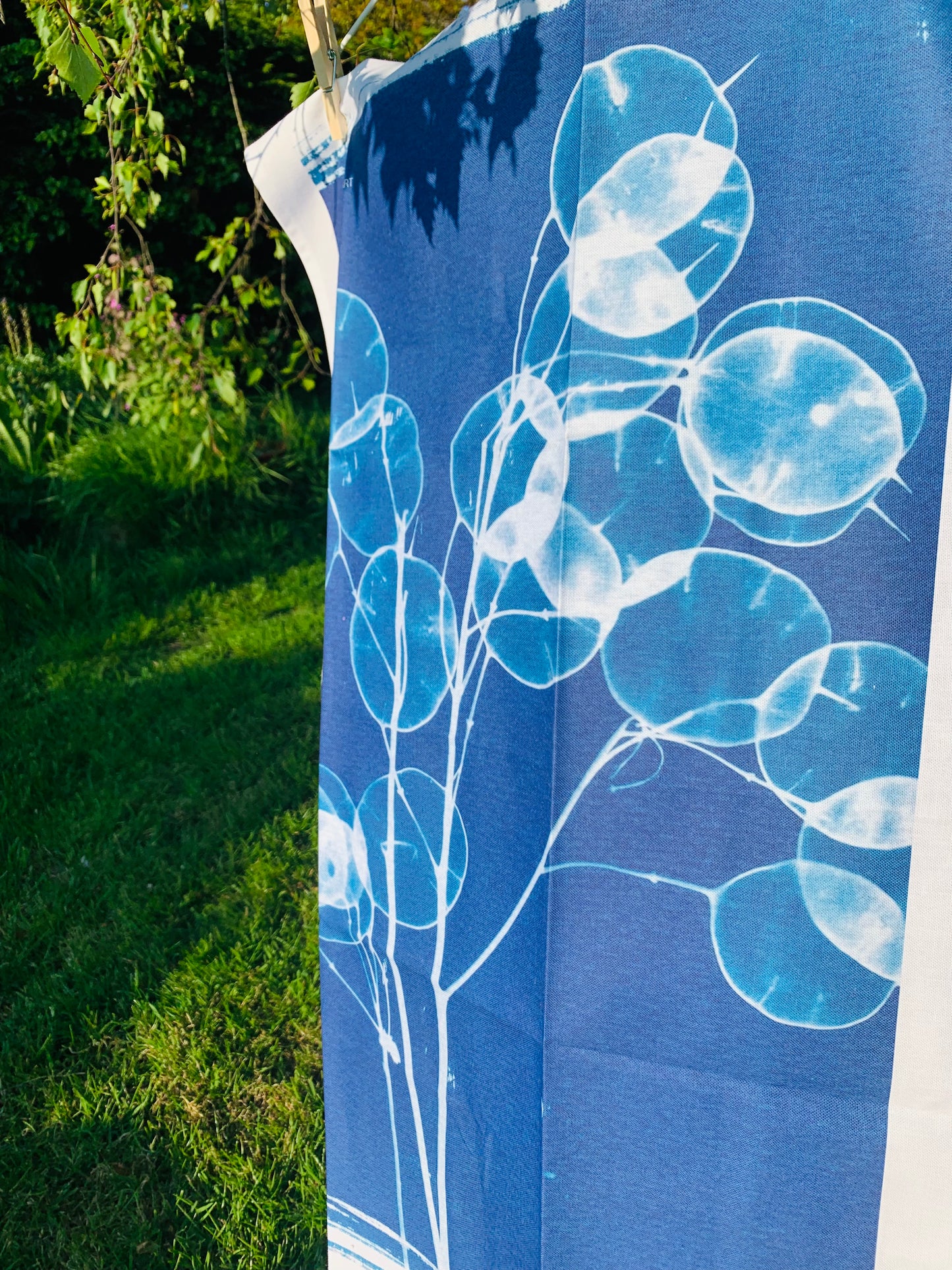 Honesty - Cyanotype - Tea Towel