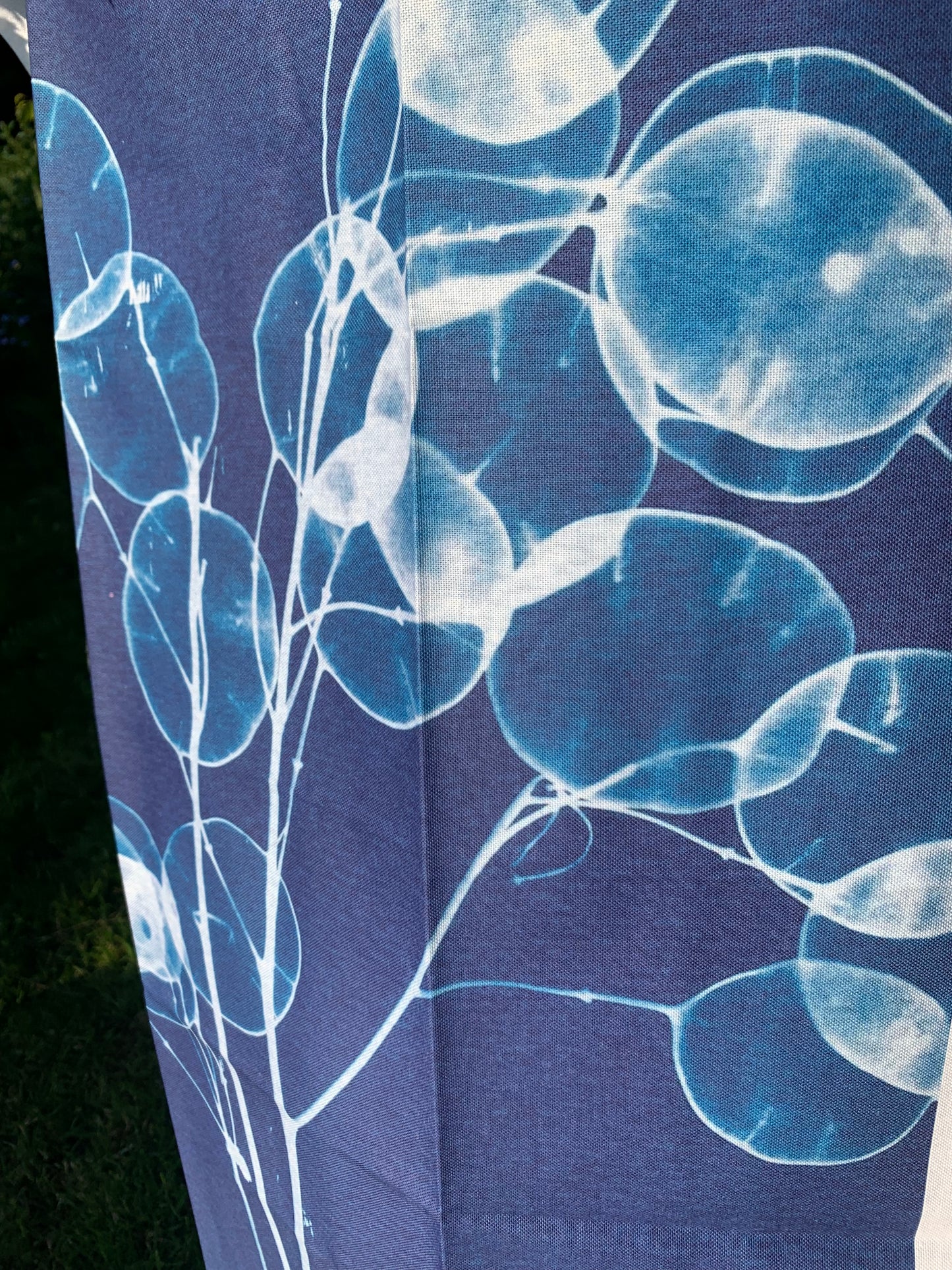 Honesty - Cyanotype - Tea Towel