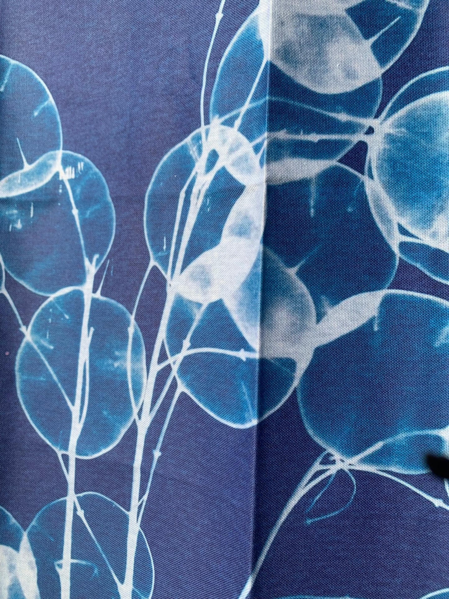 Honesty - Cyanotype - Tea Towel