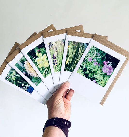 Garden Colour Polaroid - 6 pack of Cards