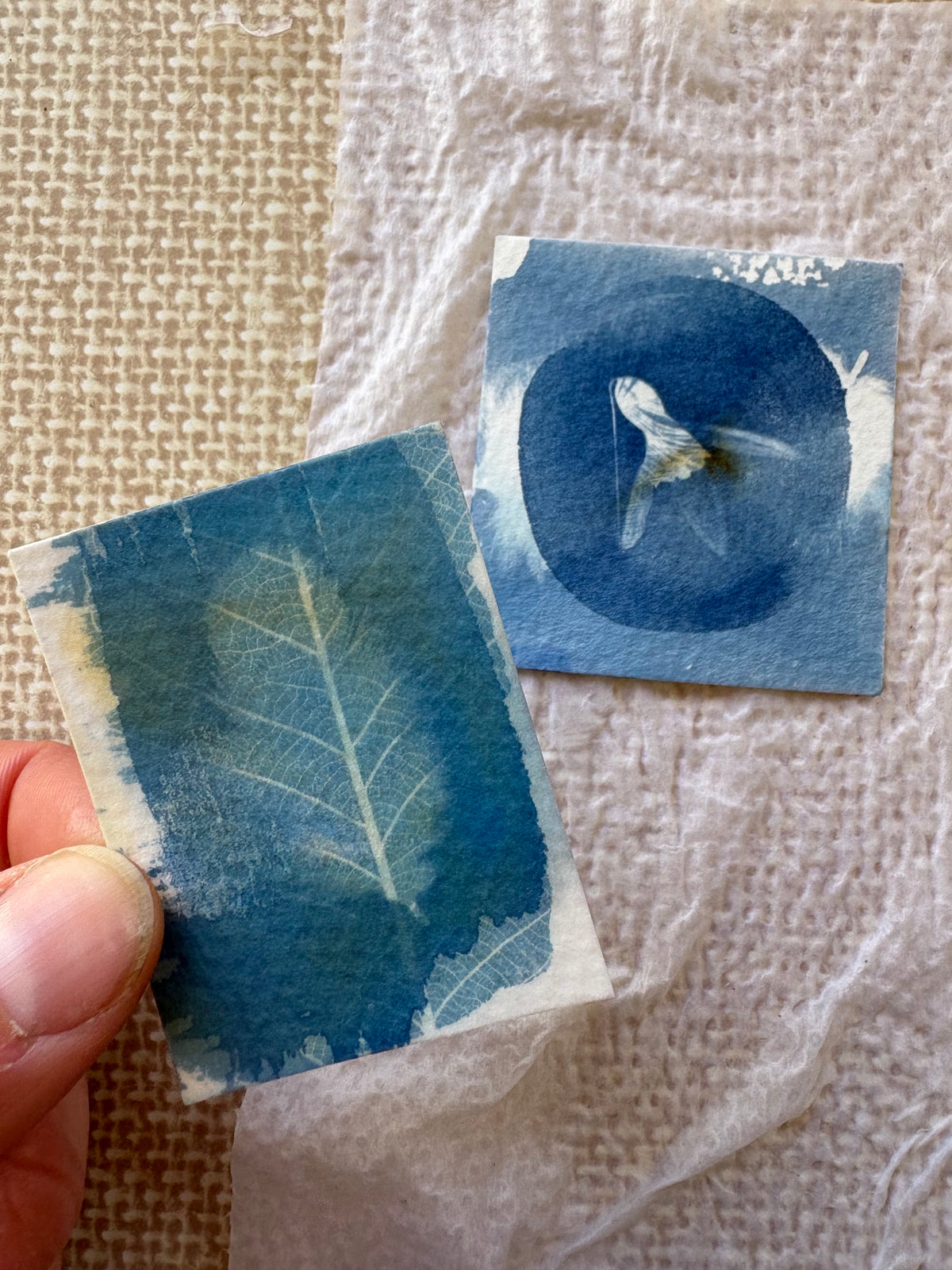 2 Double Exposure Prints - Snow Drop and Feather (stains) - Original Print  - SALE