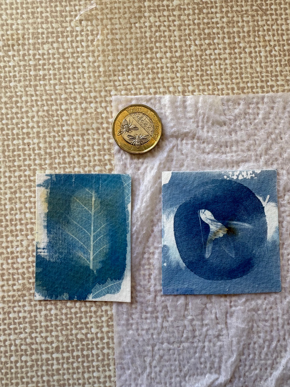 2 Double Exposure Prints - Snow Drop and Feather (stains) - Original Print  - SALE