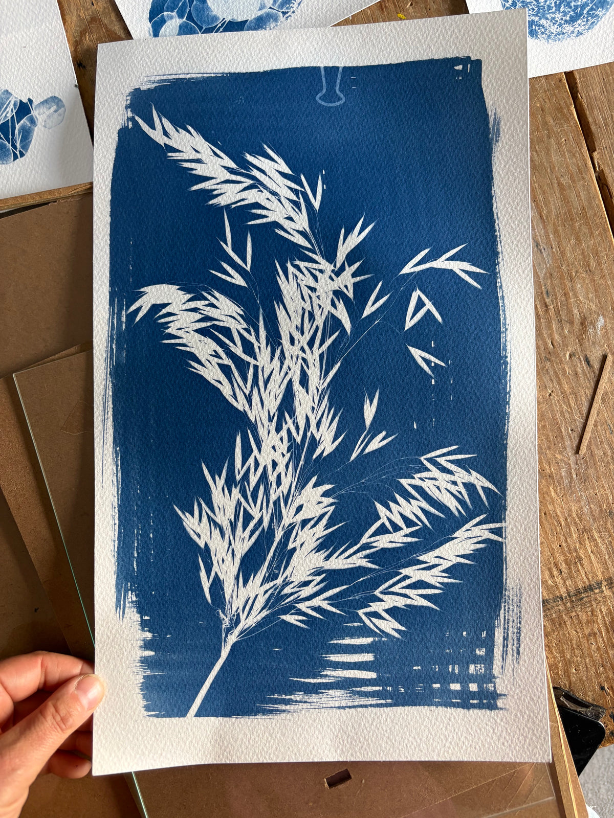 Ornamental Grass (bulldog mark) 11x15" (approx) Original Print SALE