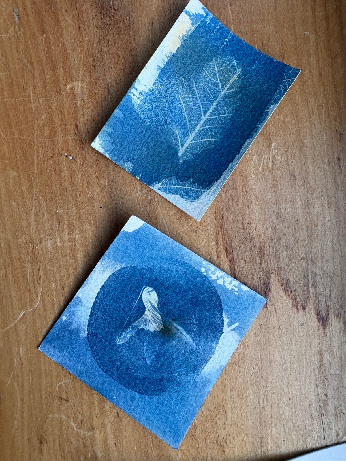 2 Double Exposure Prints - Snow Drop and Feather (stains) - Original Print  - SALE