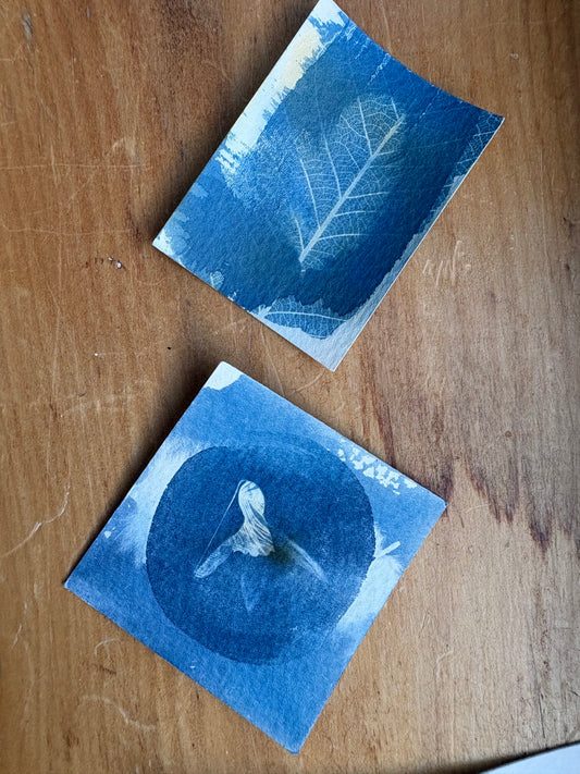 2 Double Exposure Prints - Snow Drop and Feather (stains) - Original Print  - SALE