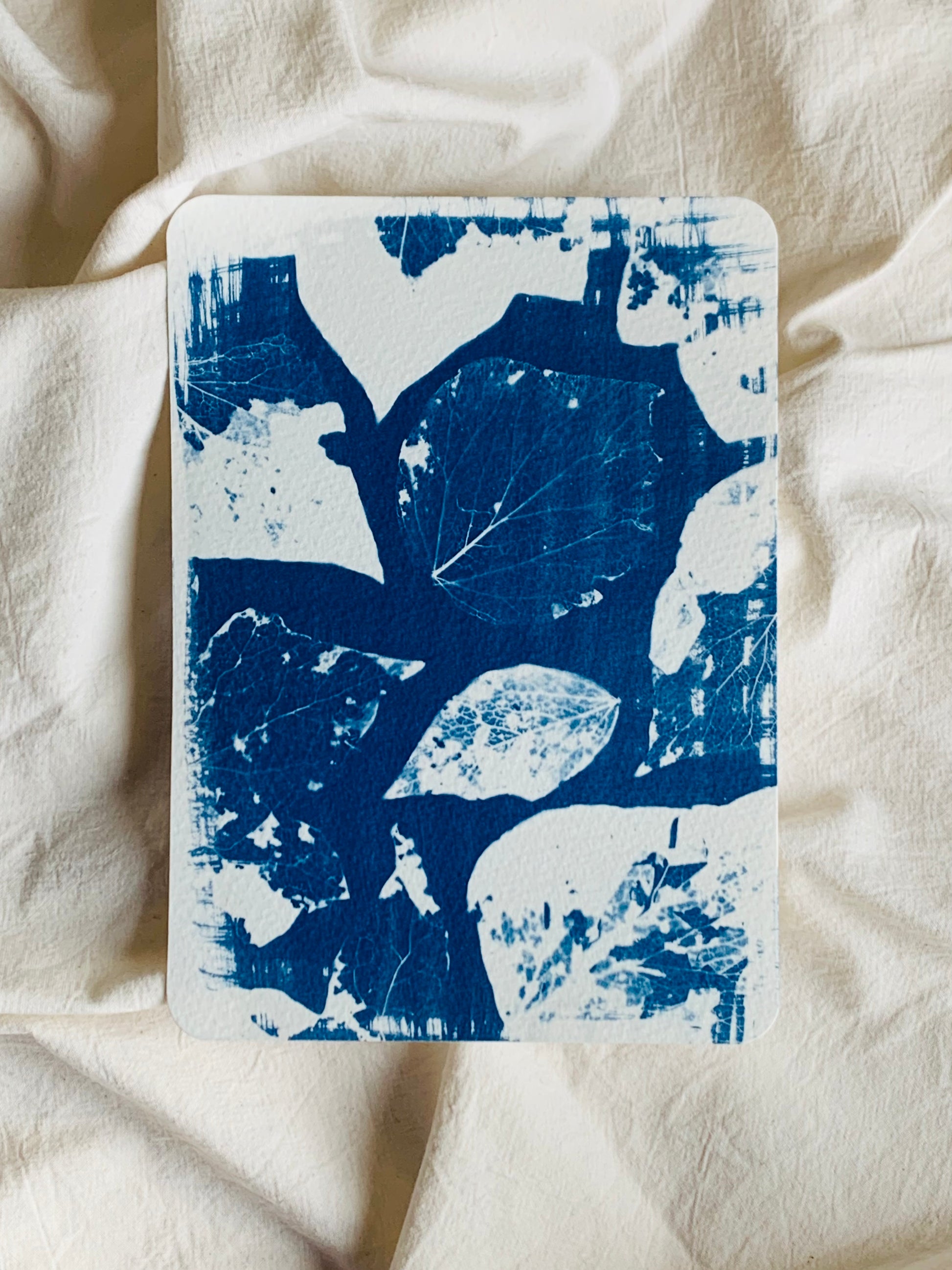 a group of leaf skeletons as a blue and white cyanotype