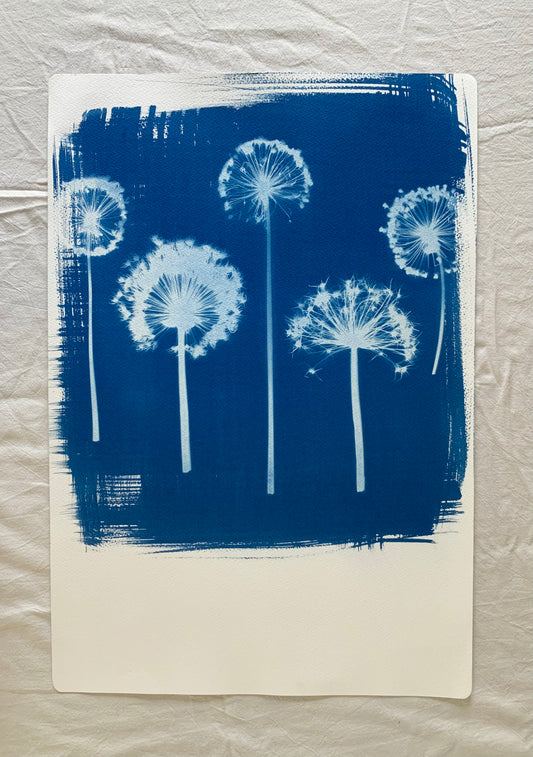 Allium Line-up Polaroid (22x15") Original Print